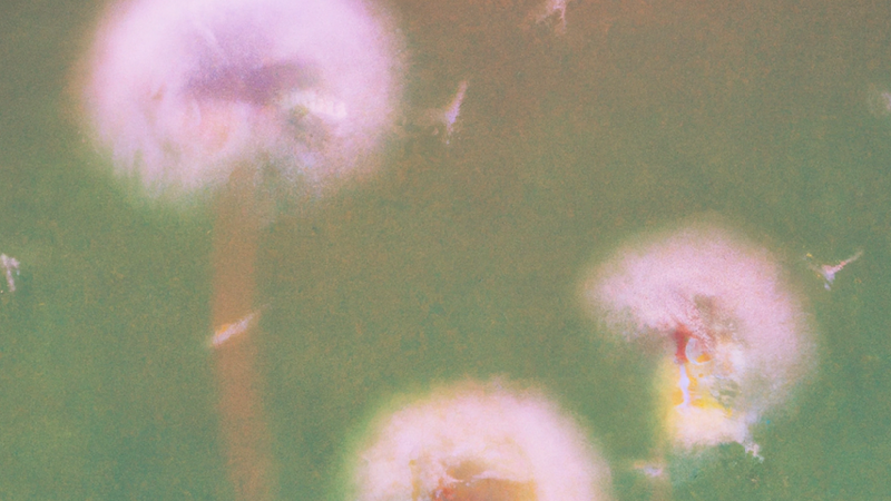 OpenAI Launches Pioneers Program to Empower Next-Gen AI App Developers