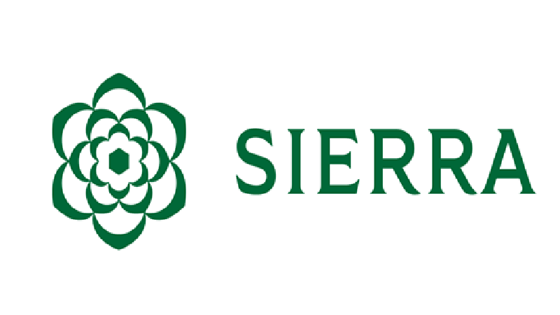 Sierra hits $100M ARR with just 17 employees, launches autonomous AI workers for enterprises