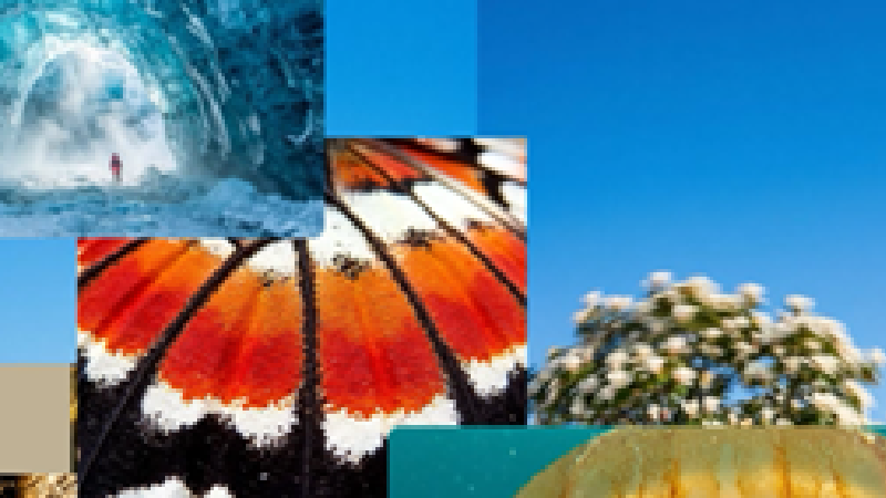 Microsoft launches MAI-Image-2 and pushes into the top tier of text-to-image AI